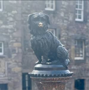 Meet your Posher, Channie